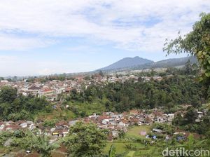 Netizen Soroti Kiamat Ekosistem di Kawasan Bandung Utara Netizen Soroti Kiamat Ekosistem di Kawasan Bandung Utara
