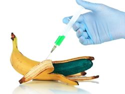 Sunat di Masa Pandemi Virus Corona, Aman Nggak Sih? Sunat di Masa Pandemi Virus Corona, Aman Nggak Sih?