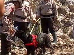 Tim SAR Terjunkan Anjing Pelacak Cari 2 Korban Longsor Bogor