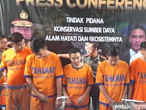 9 Penyelundup Hewan Langka Diringkus, Komodo Hingga Trenggiling Diperjualbelikan