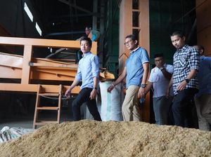 Sandi Janji Pangkas Biaya Distribusi Pupuk ke Petani Sulsel