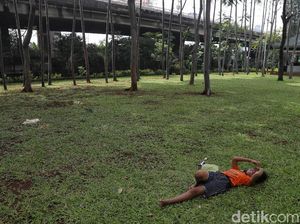 7 Taman di Jakarta Utara, Tiket Masuk Gratis