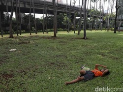 7 Taman di Jakarta Utara, Tiket Masuk Gratis