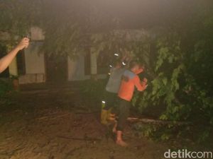 Puting Beliung Rusak Rumah dan Tumbangkan Puluhan Pohon di Bojonegoro Puting Beliung Rusak Rumah dan Tumbangkan Puluhan Pohon di Bojonegoro
