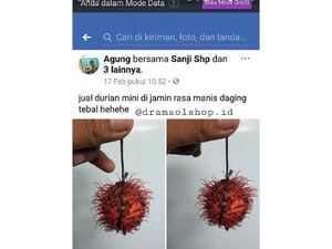 Kocak dan Konyol, Ini 5 Kisah Online Shop Makanan Kocak dan Konyol, Ini 5 Kisah Online Shop Makanan