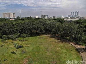Asrinya Taman Hutan Kota di Utara Jakarta Asrinya Taman Hutan Kota di Utara Jakarta