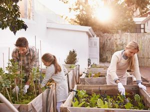 4 Tanaman Berkhasiat untuk Memperkaya Koleksi di Kebun Bunda