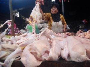 Harga Ayam Anjlok, Kementan Minta Kampanyekan Konsumsi Daging Ayam