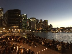 Busy Sydney