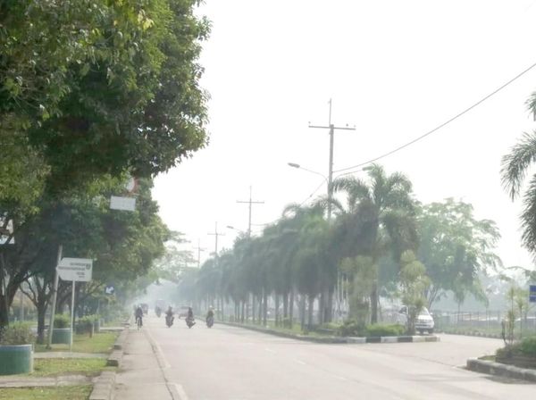 Asap Tipis Selimuti Kota Dumai Imbas Kebakaran Hutan dan Lahan