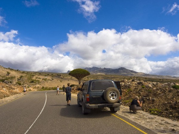 UNESCO mengakui Pulau Socotra sebagai Situs Warisan Alam Dunia. Namun, turis diizinkan untuk jalan-jalan ke sana (iStock)