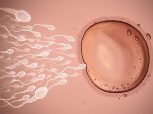 Apakah Sperma yang Terlihat Lebih Encer Tidak Normal, Dok? Apakah Sperma yang Terlihat Lebih Encer Tidak Normal, Dok?