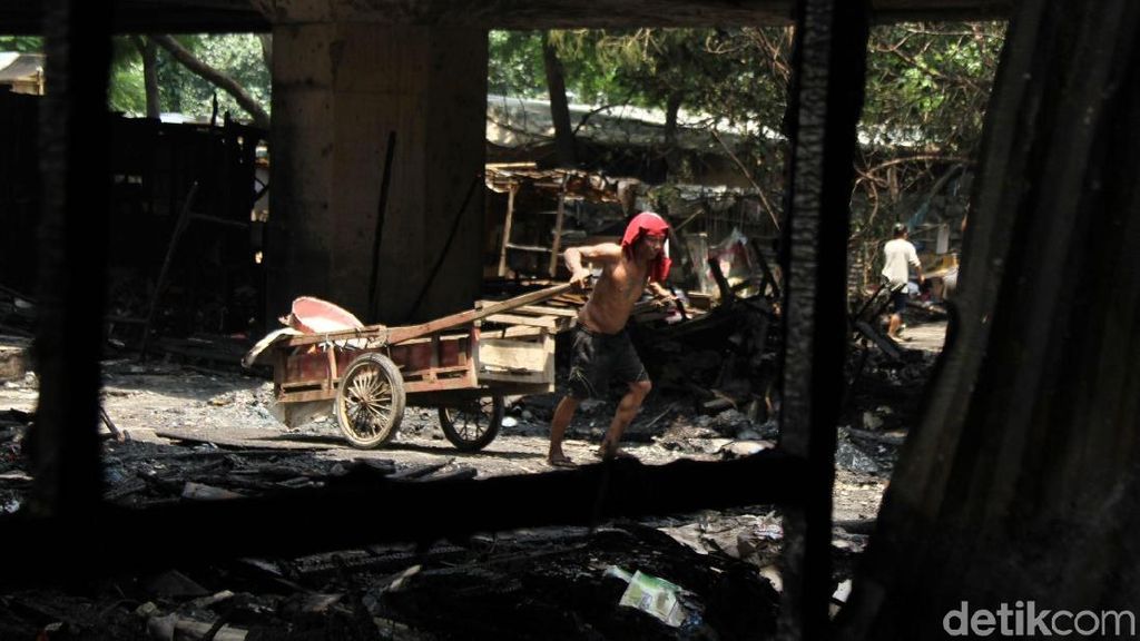 Api Hanguskan 200 Lapak di Kolong Tol Pluit Api Hanguskan 200 Lapak di Kolong Tol Pluit