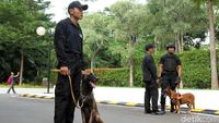 Anjing Pelacak Mulai Sterilisasi Lokasi Debat Keempat Pilpres