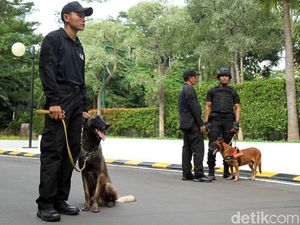 Anjing Pelacak Mulai Sterilisasi Lokasi Debat Keempat Pilpres