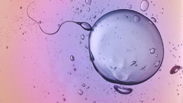 Ilustrasi sperma