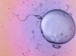 Umur Sudah 55 Tahun, Apakah Sperma Masih Bisa Menghamili Pasangan Dok?