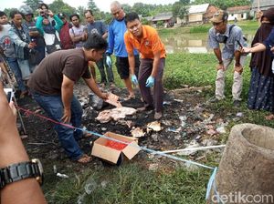 Polisi Duga Bayi yang Dibakar di Tempat Sampah Baru Dilahirkan Polisi Duga Bayi yang Dibakar di Tempat Sampah Baru Dilahirkan