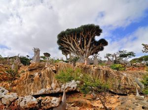 Serasa di Planet Lain, Padahal di Bumi Serasa di Planet Lain, Padahal di Bumi