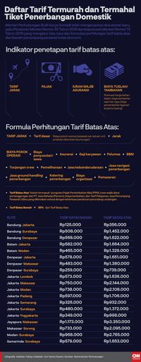 Menhub Cuma 'Dengarkan' Maskapai, Sayonara Tiket Murah