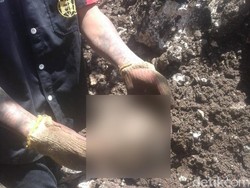 Bagian Tubuh Sucipto Korban Longsor di Jember Ditemukan