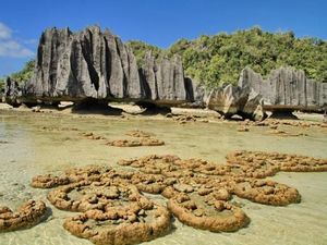 Pantai Namlol yang Unik Ini Ada di Raja Ampat