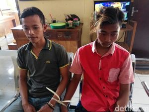 Gasak Ribuan Bibit Ikan Kerapu, Tiga Pemuda di Situbondo Dibui