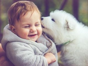 Pertolongan Pertama Saat Anak Dicakar atau Digigit Anjing