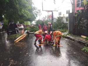 Pohon Tumbang di Depok, Seorang Karyawan Restoran Tewas