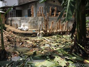 Ini Tanggul Jebol yang Mengakibatkan Banjir di RW 06 Jati Padang Ini Tanggul Jebol yang Mengakibatkan Banjir di RW 06 Jati Padang