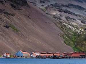 Tempat Terpencil Bumi yang Jadi Lokasi Pembantaian Mamalia Laut