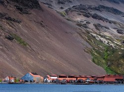 Tempat Terpencil Bumi yang Jadi Lokasi Pembantaian Mamalia Laut