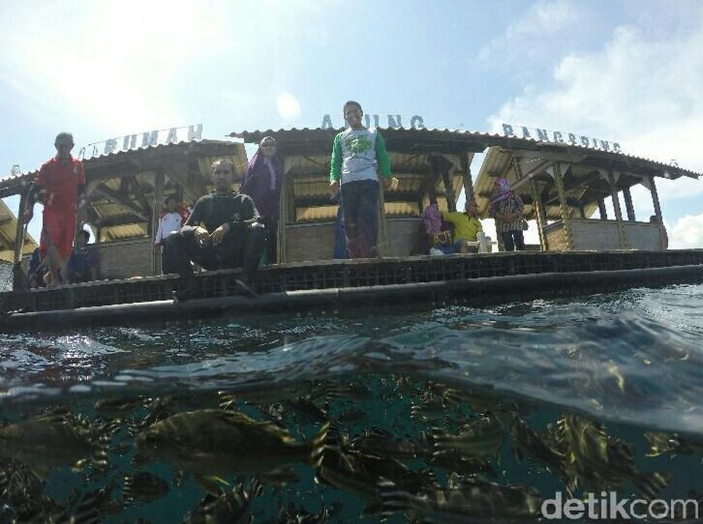 Besok, Menteri Susi Buka Banyuwangi Underwater Festival Besok, Menteri Susi Buka Banyuwangi Underwater Festival
