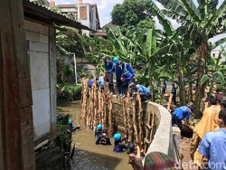 Petugas Berjibaku Perbaiki Tanggul RW 06 Jati Padang yang Jebol