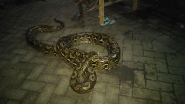 Berpotensi Rusak Terumbu Karang, Puluhan Bom Ikan Di Sulsel Disita