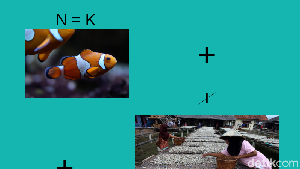 Seberapa Kreatif Kamu Bisa Tebak Gambar-gambar Ini?