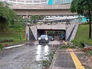 Pohon Tumbang di Kolong Semanggi, Lalin ke Blok M Sempat Macet