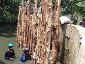 Tanggul Jati Padang Dipasang Cerucuk Antisipasi Banjir Susulan Tanggul Jati Padang Dipasang Cerucuk Antisipasi Banjir Susulan