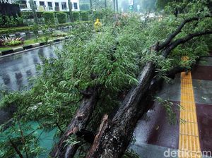 Hujan Angin Terjang Bogor, Puluhan Rumah Rusak!