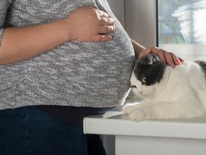 Saat Bunda Hamil Boleh Kok Pelihara Hewan, Tapi...