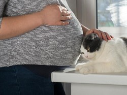 Saat Bunda Hamil Boleh Kok Pelihara Hewan, Tapi...