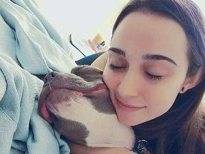 Calon Pengantin Wanita Belikan Anjingnya Gaun yang Tak Kalah Mewah Darinya