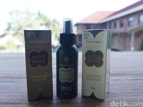 {SEO} Mengenal Purwoceng dalam Minyak Kutus-kutus, Bisa Dongkrak Gairah Seks?