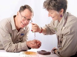 Australia Kini Kembangkan Sawah Padi Liar