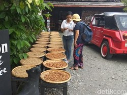Usai Berwisata ke Candi Pawon Bisa Nyeruput Kopi Luwak di Kafe Ini