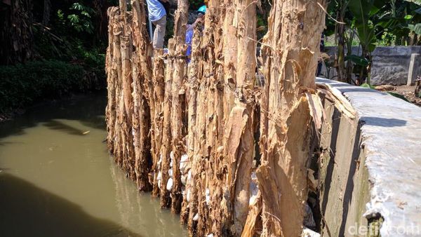 Foto News: Jebol Lagi Bangun Lagi Tanggul Jatipadang Jaksel