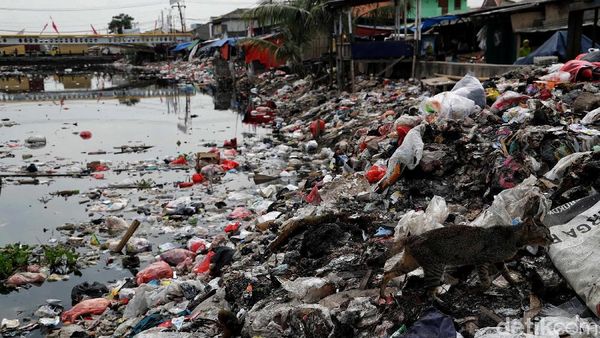 Miris, Sampah Berserakan dan Menumpuk di Sungai Dadap