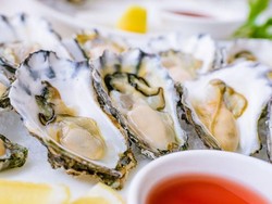 Meski Tergolong Binatang Tiram Disebut Bisa Dikonsumsi Vegan, Kenapa?