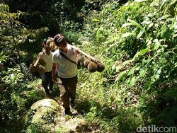 Berpetualang Sambil Nikmati Durian Langsung dari Pohon, Ada Kok di Trenggalek