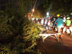 Ada Pohon Tumbang, Lalin di Jalan Juanda Bekasi Macet